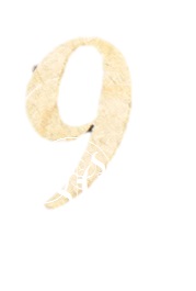 D.M. Numero 80 Mm. 9