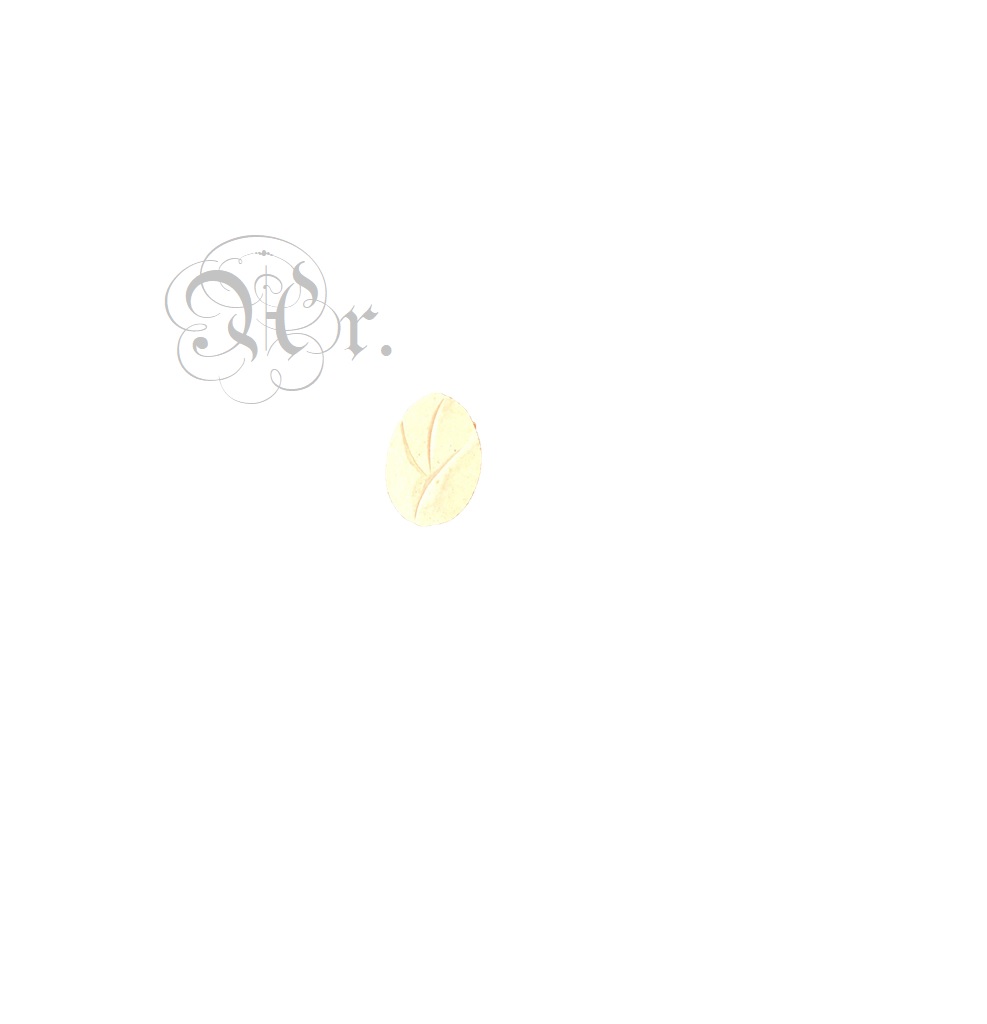 Aplique D.M. 7868-00-28