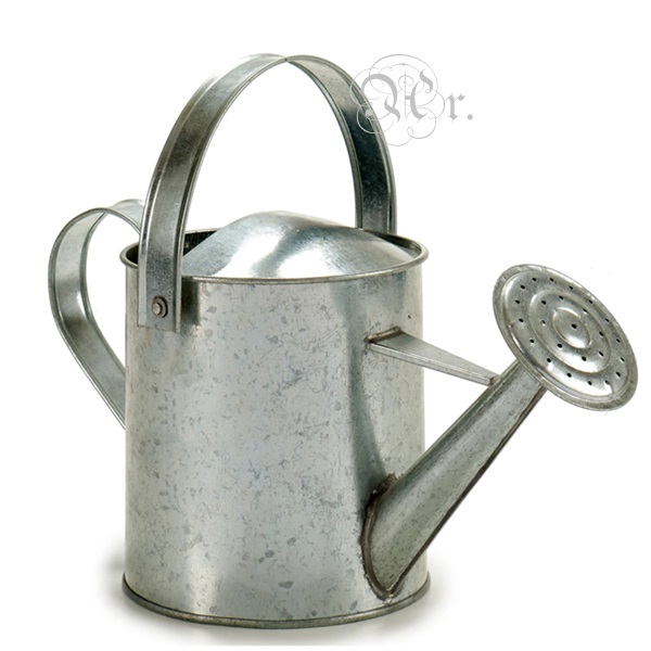 Regadera Grande Hojalata 18*36*17 Cm.