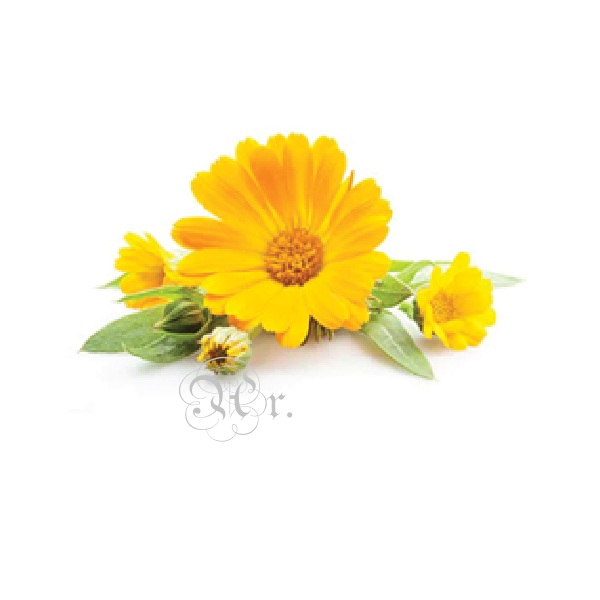 Esencia 20 Ml. Calendula