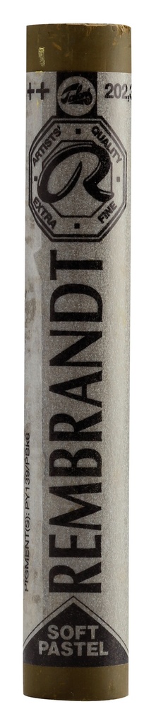 Pastel Rembrandt AMARIL.OSCURO 3