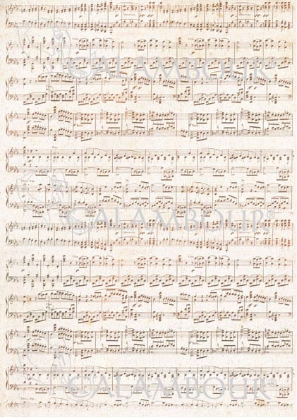 Papel Arroz 35*50 Pau048