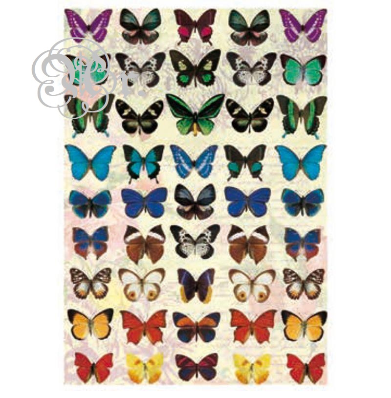 Papel Arroz 35*50 Dgr171