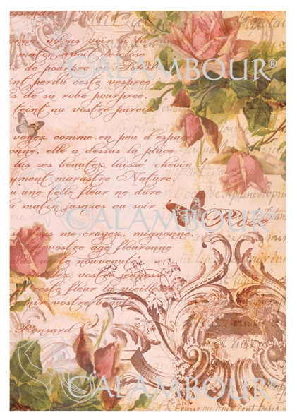 Papel Arroz 35*50 Dgr175