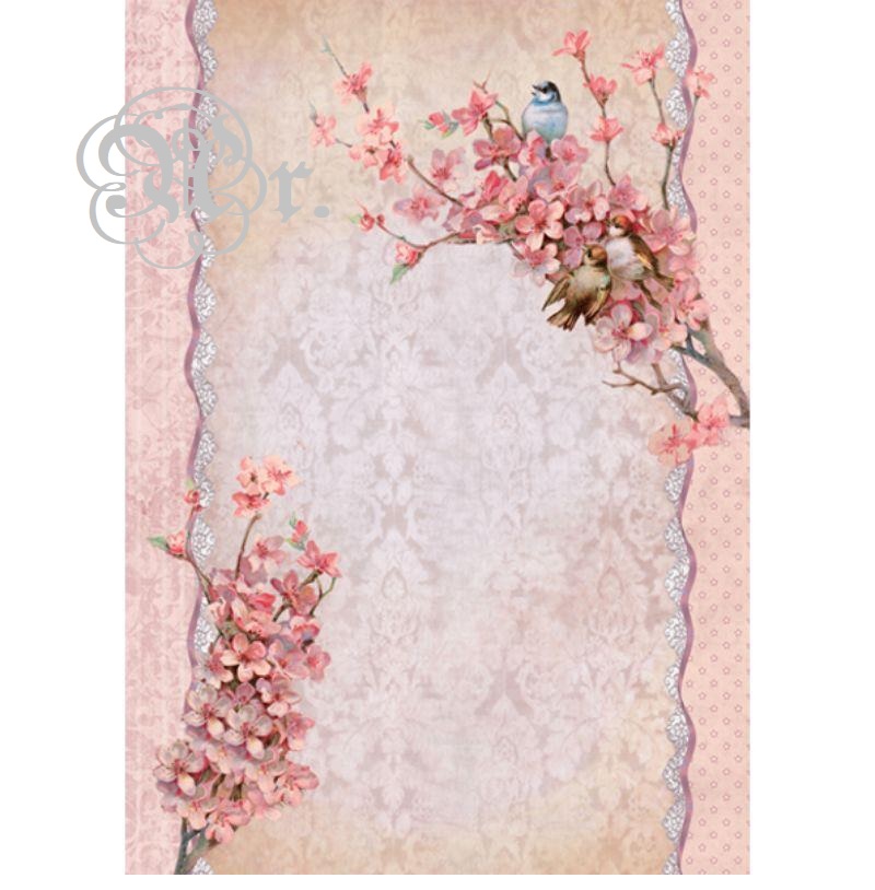 Papel Arroz 35*50 Dgr219