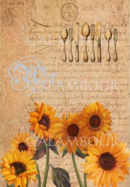 Papel Arroz 35*50 Tcr039