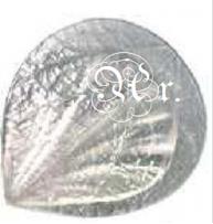 [0858011] Marcador Nervios Nº 11