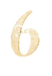 [31033046] D.M. Numero 80 Mm. 6