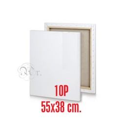 [0220026] Lienzo 10P 55*38*1.7 Cm. Tela 2