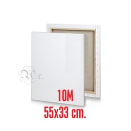 [0220027] Lienzo 10M 55*33*1.7 Cm. Tela 2