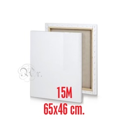 [0220033] Lienzo 15M 65*46*1.7 Cm. Tela 2
