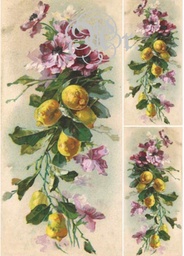 [0217159] Papel Arroz 35*50 Dgr159