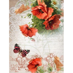 [0217514] Papel Arroz 23*31 Tt 014